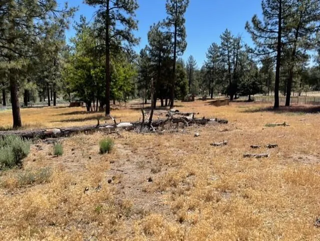 $300,000 | 59777 Highway 74, Mountain Center, CA 92561