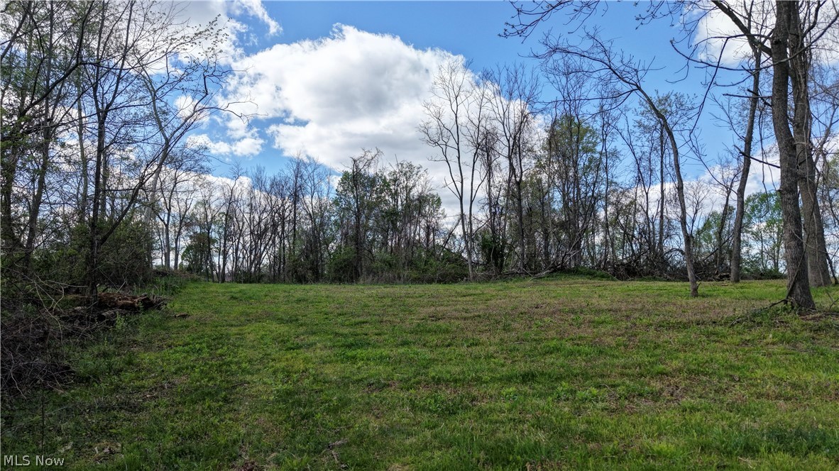 Deersville Ridge Road Cadiz, OH 43907 - Photo 7 of 41