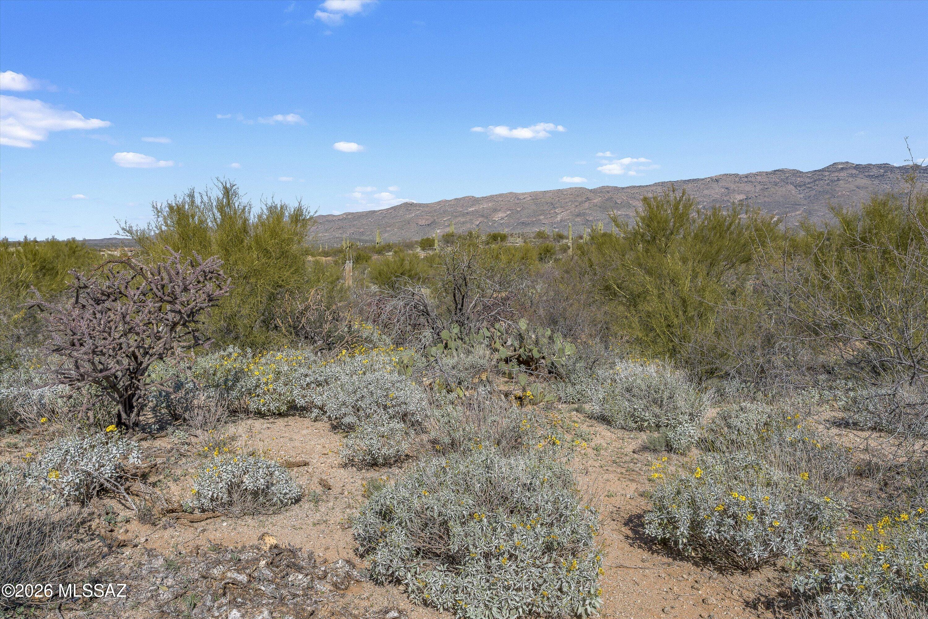 8293 South Tumbling Y Ranch Place, Unit 142 Vail, AZ 85641 - Photo 14 of 30