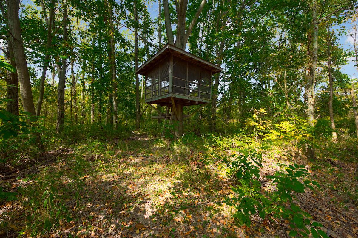 7475 Harlem Road Westerville, OH 43081 - Photo 53 of 60 Gallery Image 53