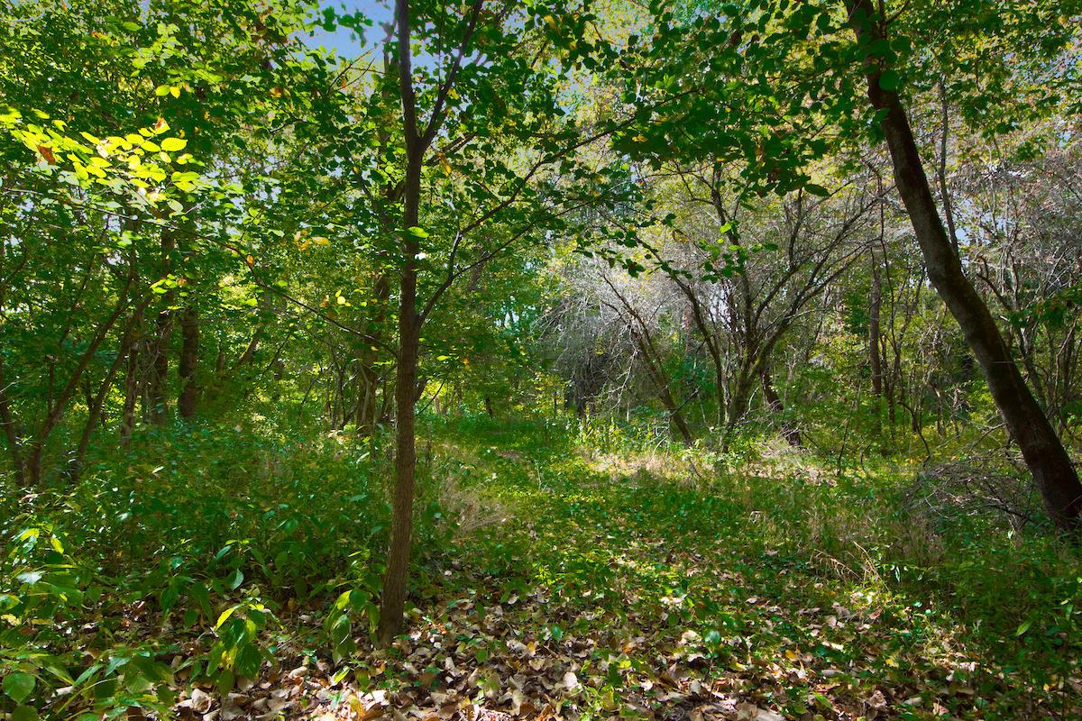 7475 Harlem Road Westerville, OH 43081 - Photo 54 of 60 Gallery Image 54