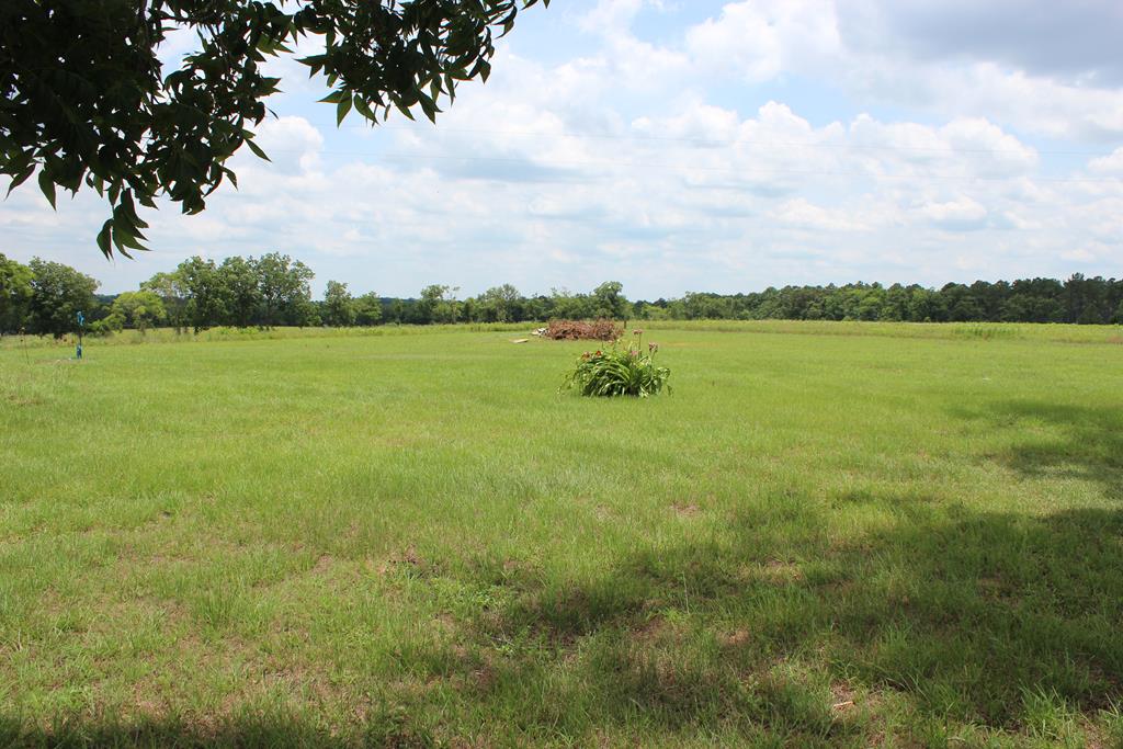 0 County Road Headland, AL 36345 - Photo 1 of 3