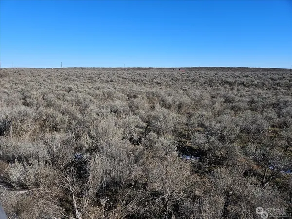 a view of yard with an ocean