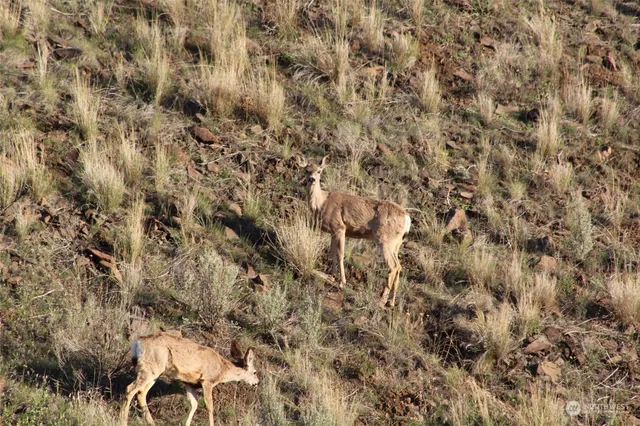 $10,000 | 0 Quarter Horse Drive, Ephrata, WA 98823