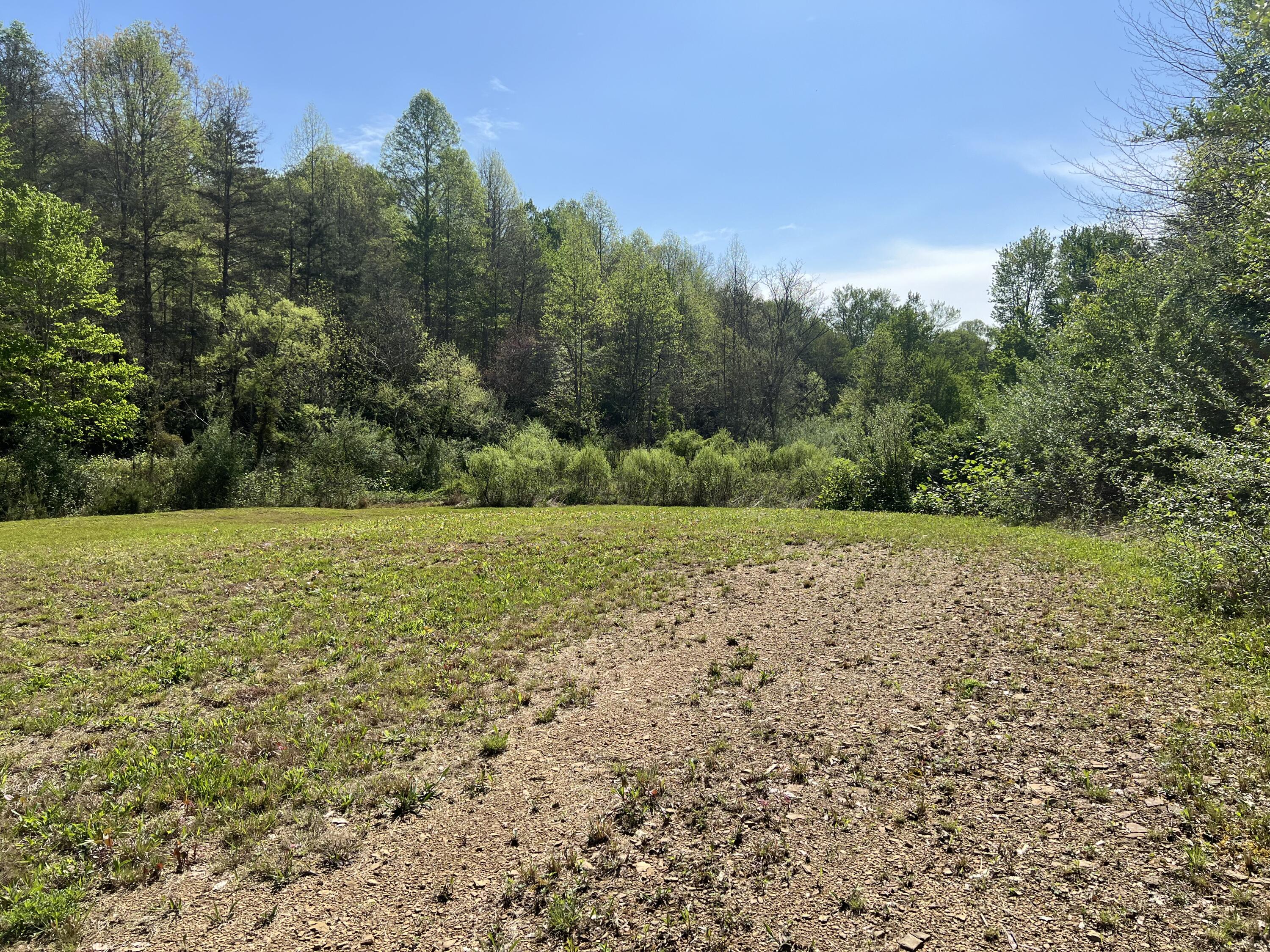 397 Miller Branch Road Bimble, KY 40915 - Photo 18 of 26 MBR17