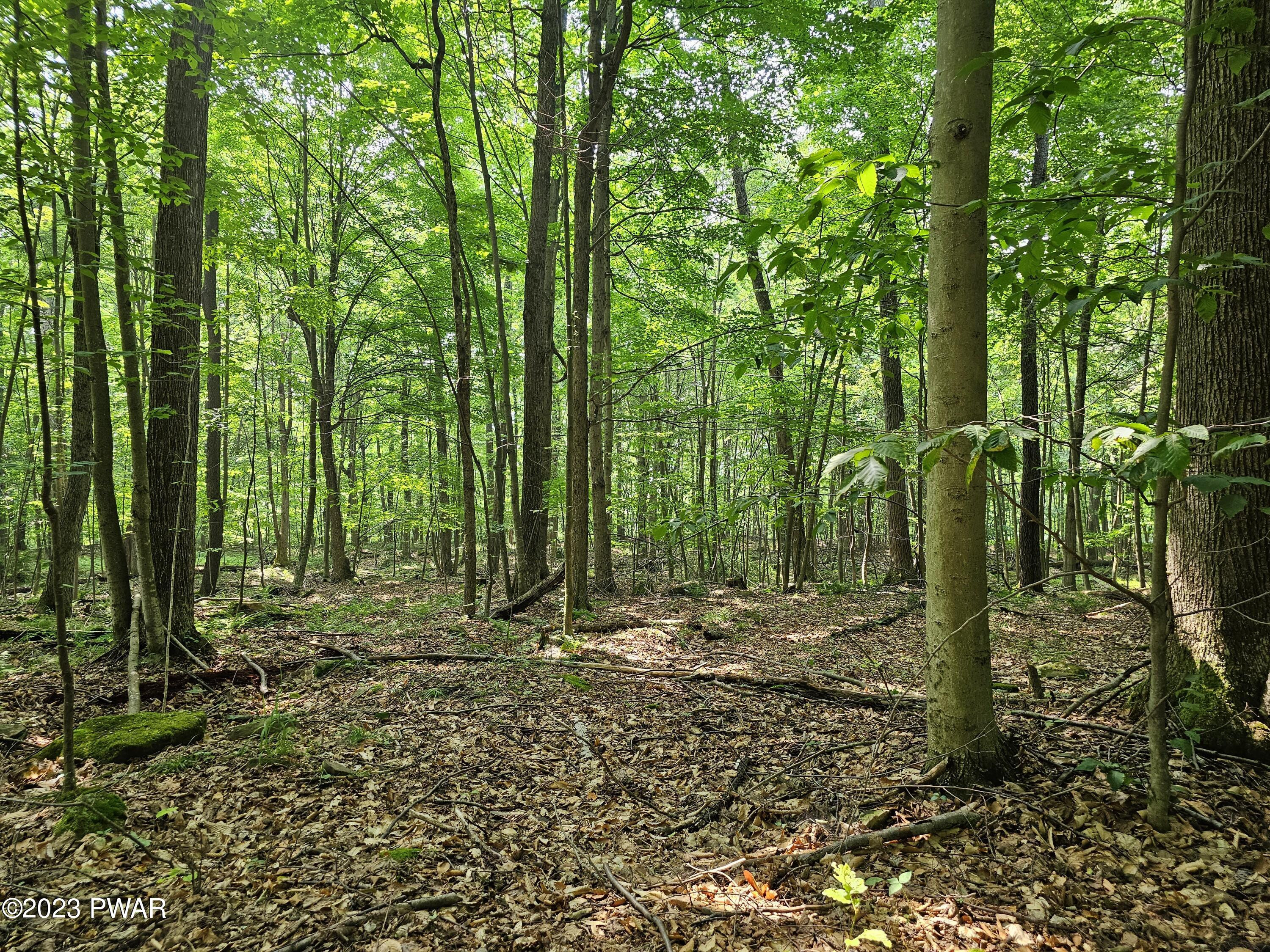 Lot 61 Rock Run Road Damascus, PA 18415 - Photo 5 of 56
