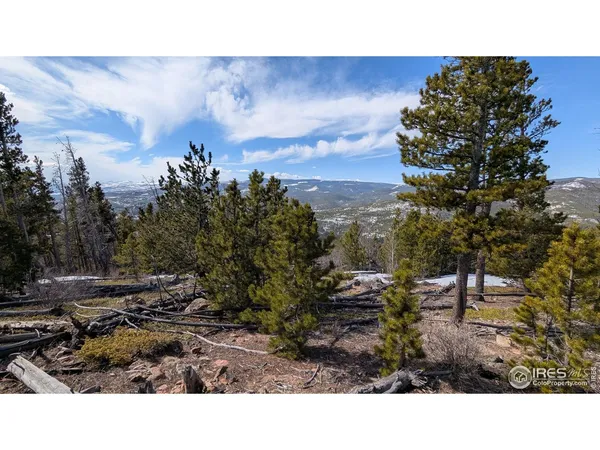 a open area with mountains in the background