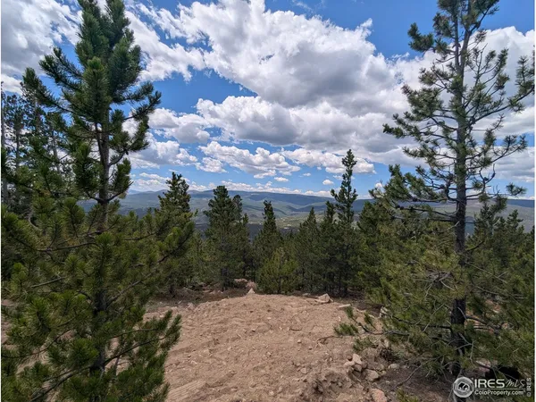 a black and white photo of a house