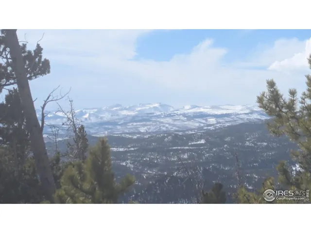 a black and white photo of a house