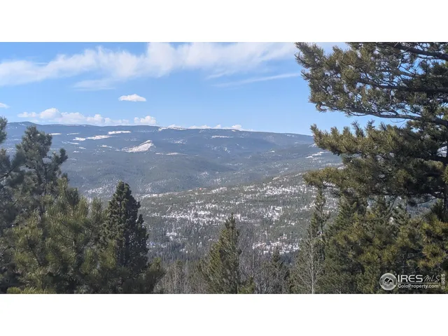 a close up of a plant in a garden