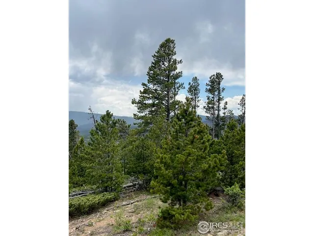 a view of a yard covered in snow