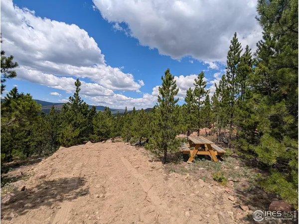 a bathroom with a shower curtain
