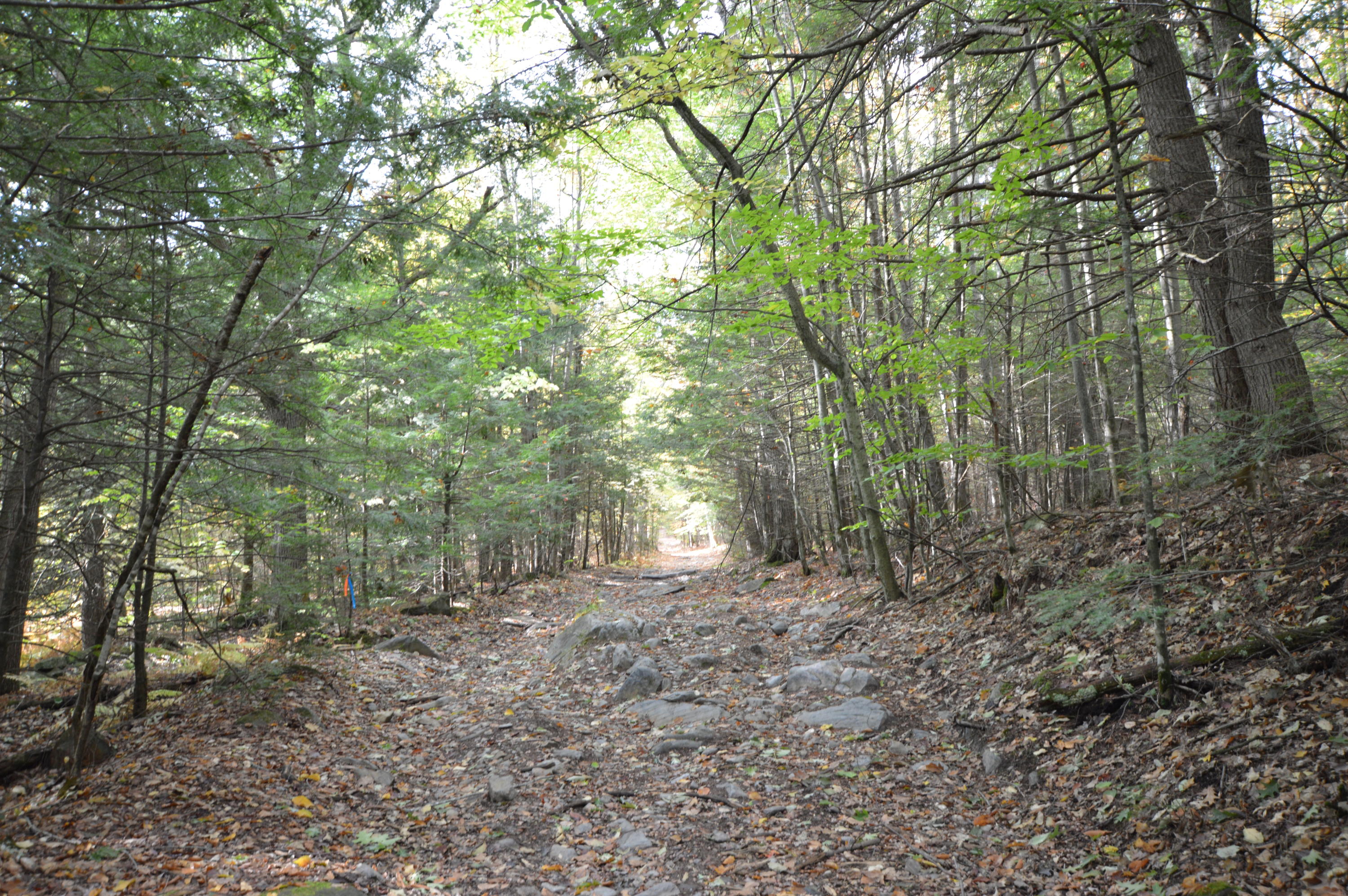 0 Soper Road Winthrop, ME 04364 - Photo 26 of 31 DSC_1428