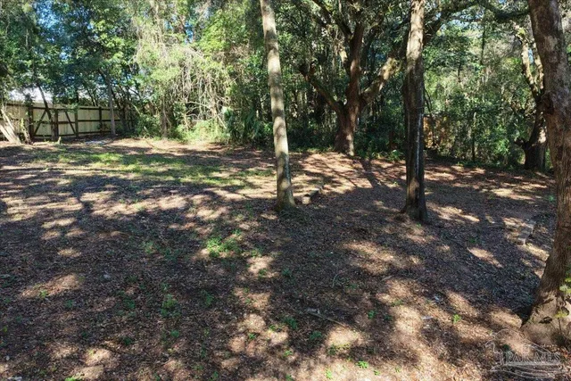 a picture of a park with an bench