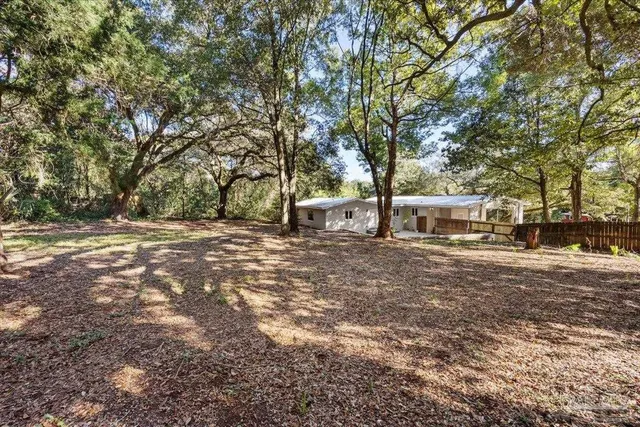 a view of outdoor space with trees all around