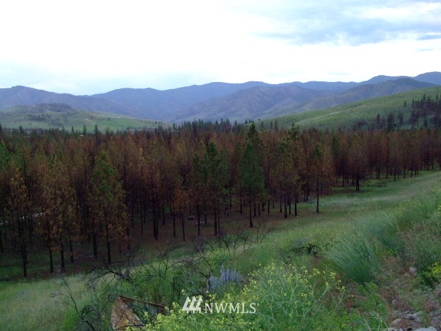 31 Russian Hills Road Methow, WA 98834 - Photo 1 of 13