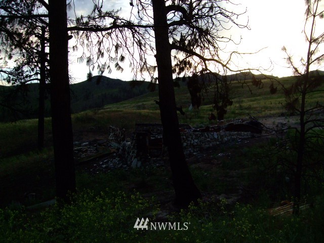 31 Russian Hills Road Methow, WA 98834 - Photo 4 of 13