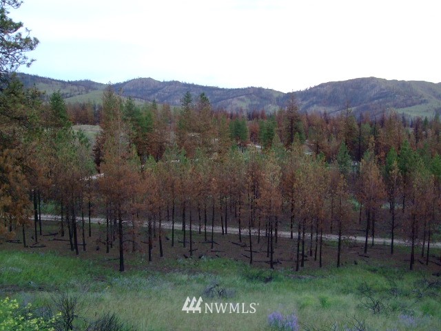 31 Russian Hills Road Methow, WA 98834 - Photo 5 of 13