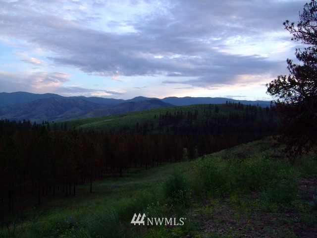 31 Russian Hills Road Methow, WA 98834 - Photo 7 of 13