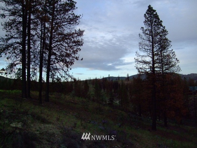 31 Russian Hills Road Methow, WA 98834 - Photo 8 of 13