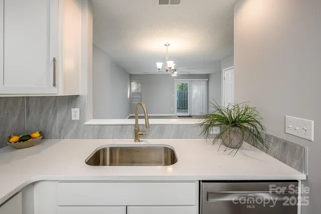 a kitchen with a sink and a potted plant