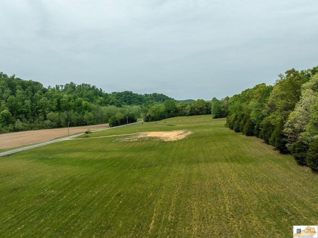 7026 Breeding Road Edmonton, KY 42129 - Photo 4 of 25 Gallery Image 4