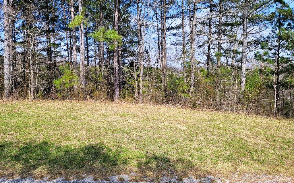 Tbd Sugar Maple Road Murphy, NC 28906 - Photo 9 of 13 Additional View