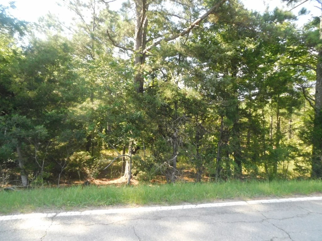 3587 Chamberlain S Ferry Road Lincolnton, GA 30817 - Photo 3 of 4 Gallery Image 3