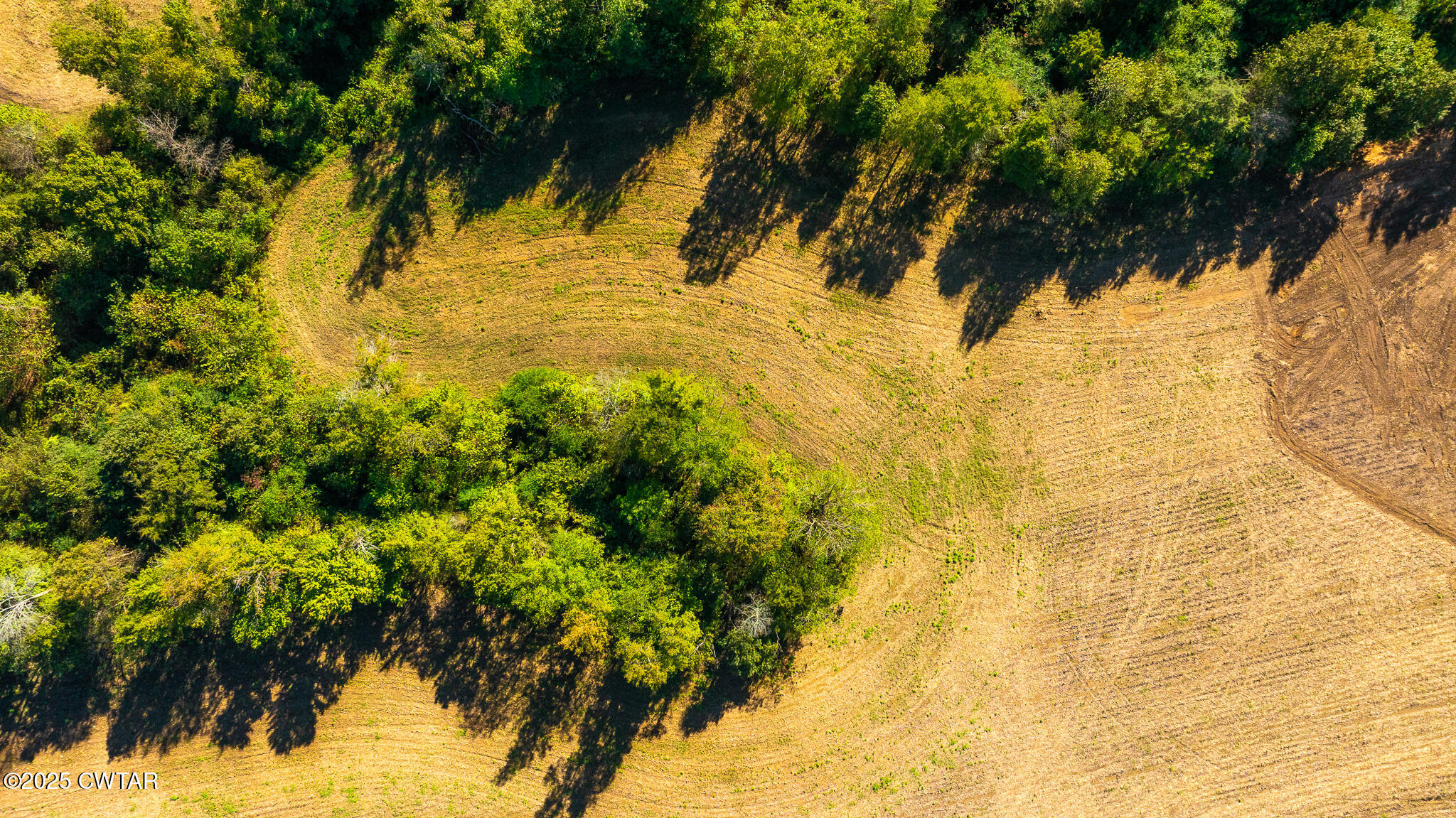 6 Hearn Road Greenfield, TN 38230 - Photo 11 of 17 a view of a yard