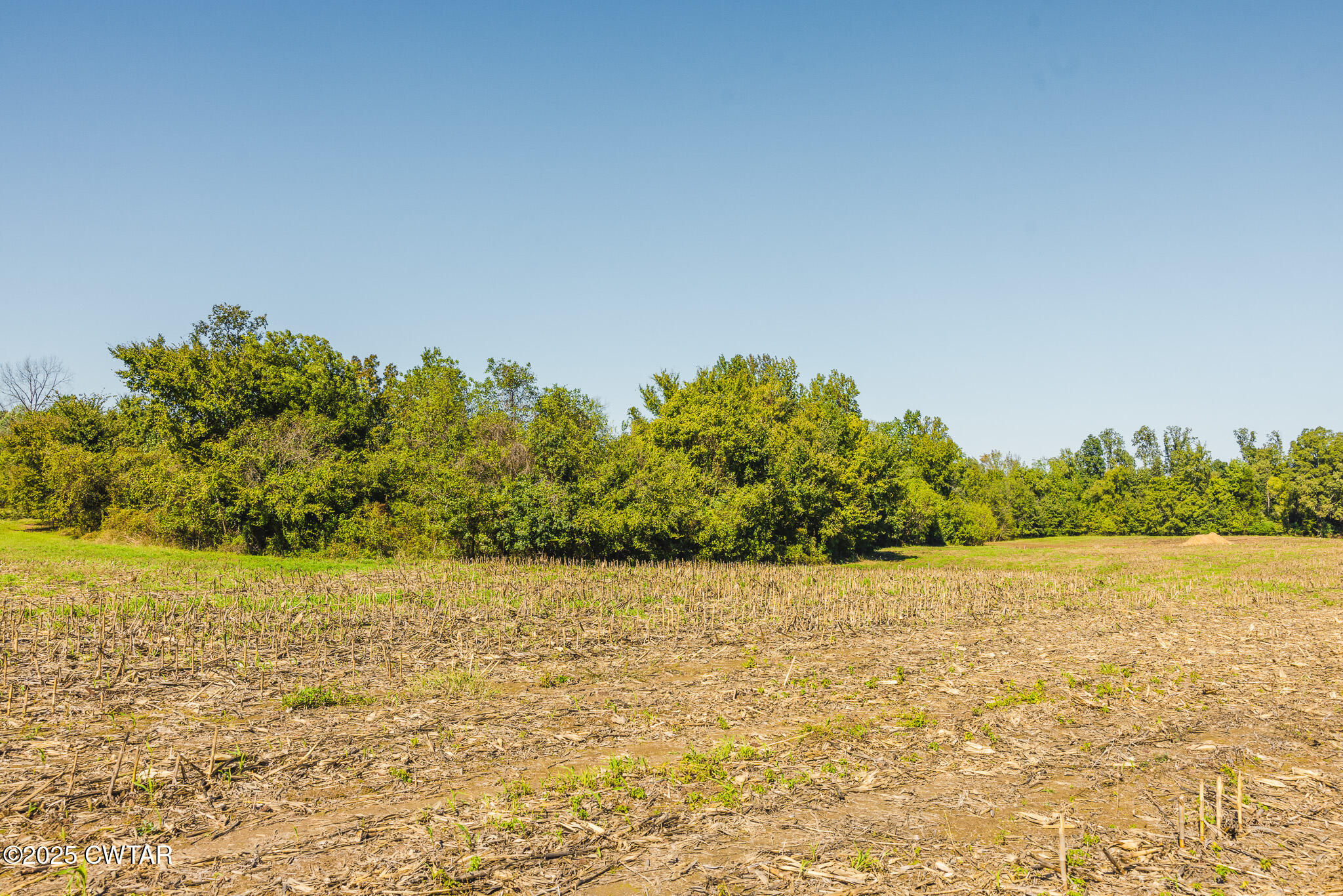 6 Hearn Road Greenfield, TN 38230 - Photo 12 of 17 a view of an ocean