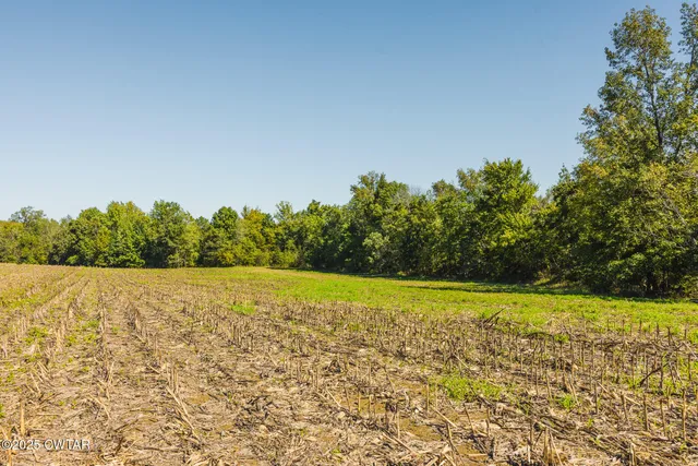 a view of an outdoor space and trees