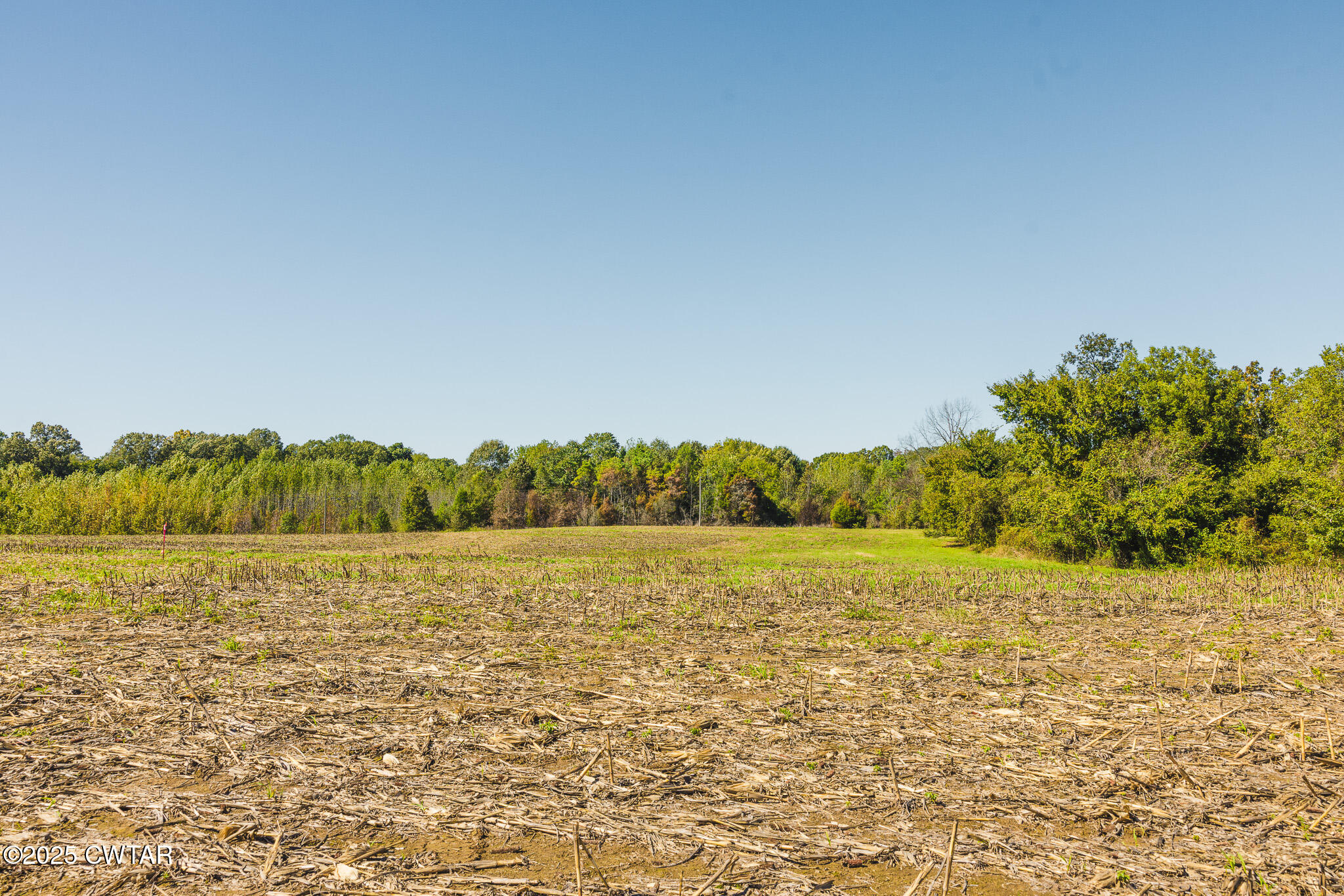 6 Hearn Road Greenfield, TN 38230 - Photo 14 of 17 a view of an ocean
