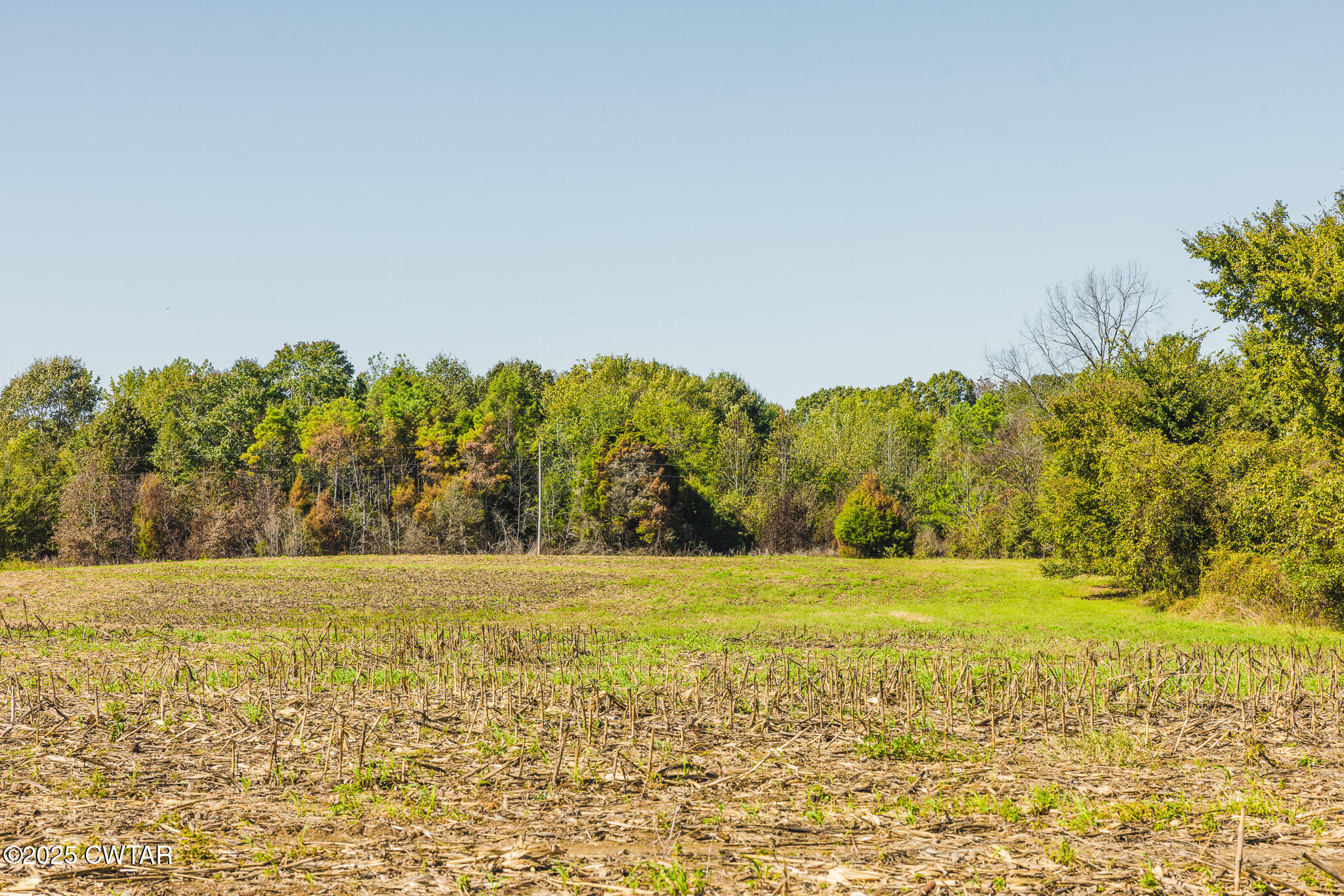 6 Hearn Road Greenfield, TN 38230 - Photo 15 of 17 a view of an ocean