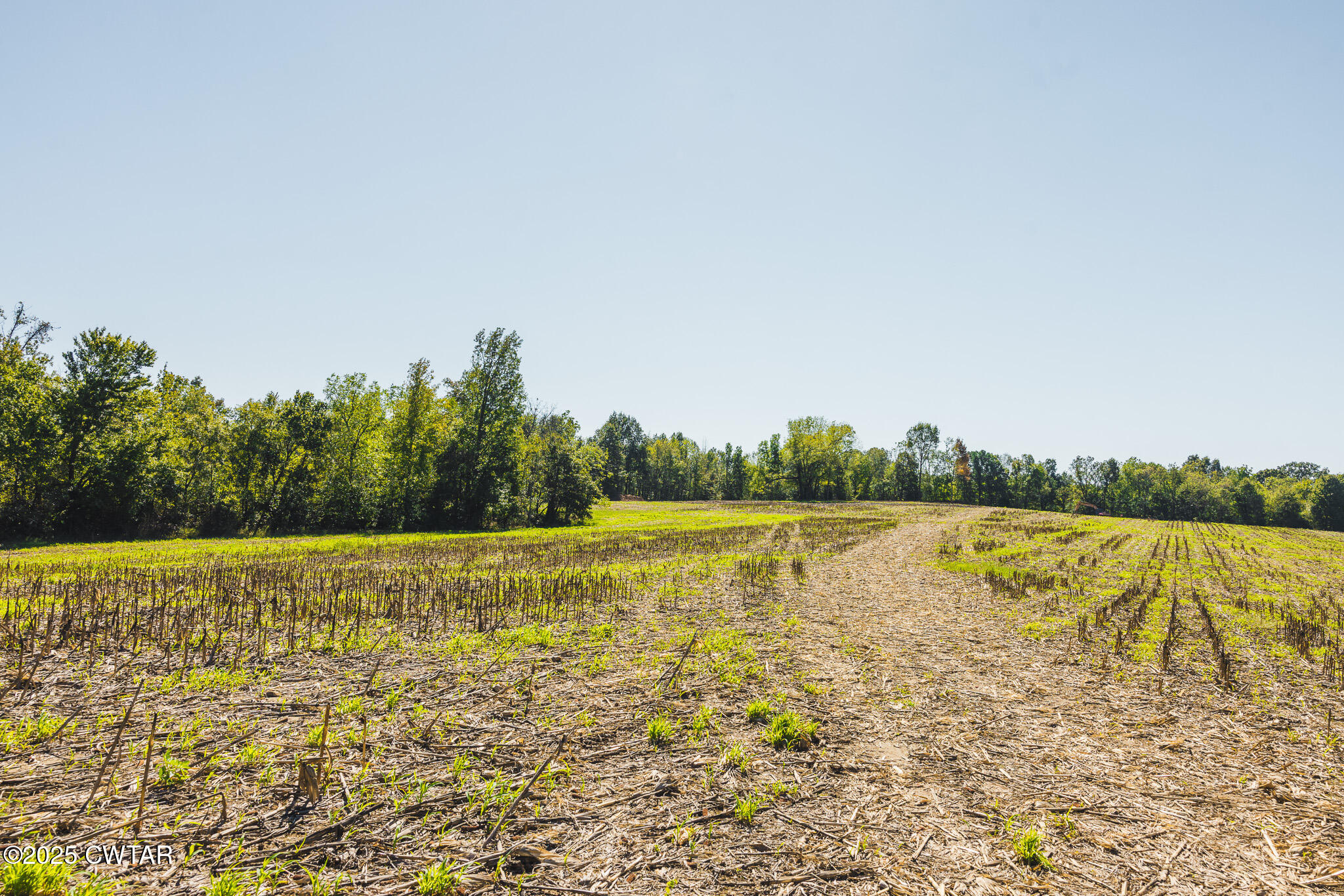 6 Hearn Road Greenfield, TN 38230 - Photo 16 of 17 a view of a lake view