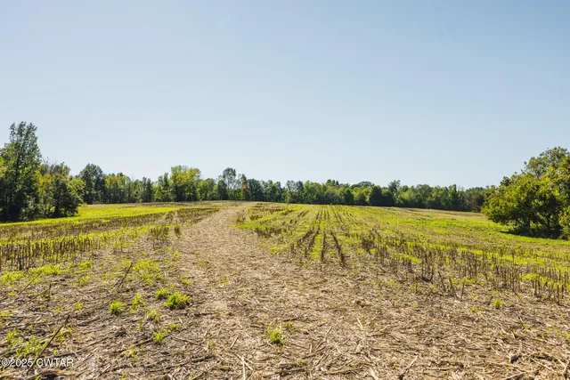 a view of a lake with a yard