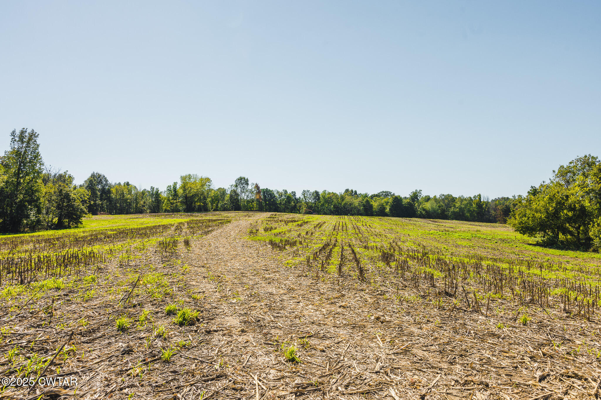 6 Hearn Road Greenfield, TN 38230 - Photo 17 of 17 a view of a lake with a yard