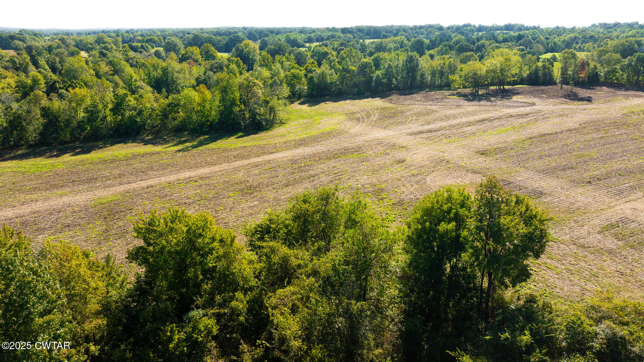 6 Hearn Road Greenfield, TN 38230 - Photo 5 of 17 a view of an outdoor space with a lake view