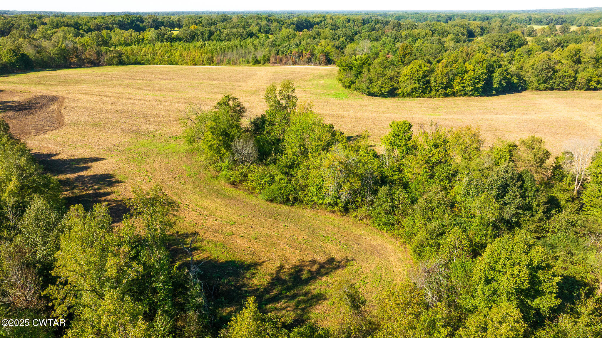 6 Hearn Road Greenfield, TN 38230 - Photo 7 of 17 a view of lake view and mountain