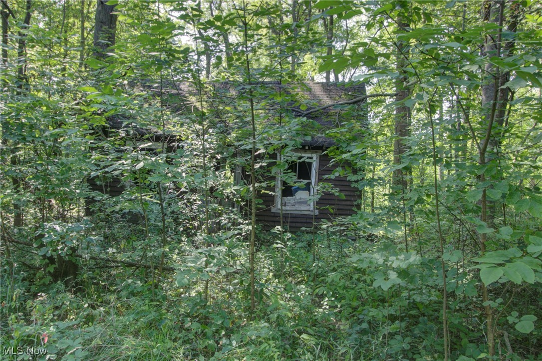 3227 Derussey Road Collins, OH 44826 - Photo 25 of 28 View of undeveloped land