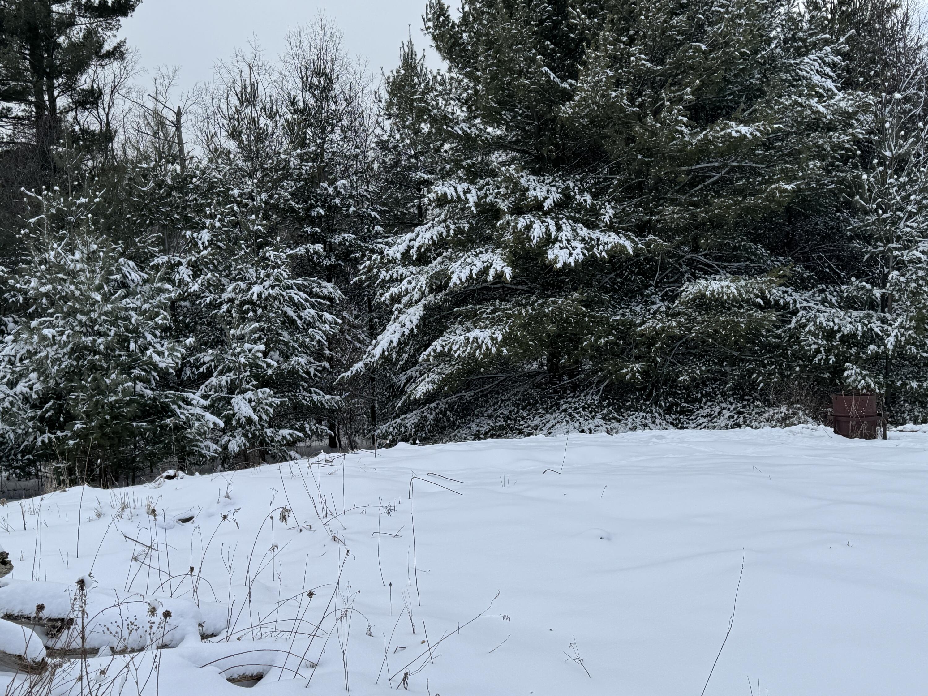 20180 15 Mile Road Leroy, MI 49655 - Photo 3 of 11 IMG_3558
