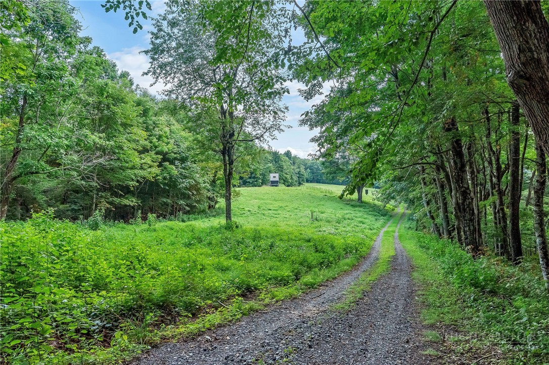 Little Windfall Road Lansing, NC 28643 - Photo 24 of 37 Gallery Image 24