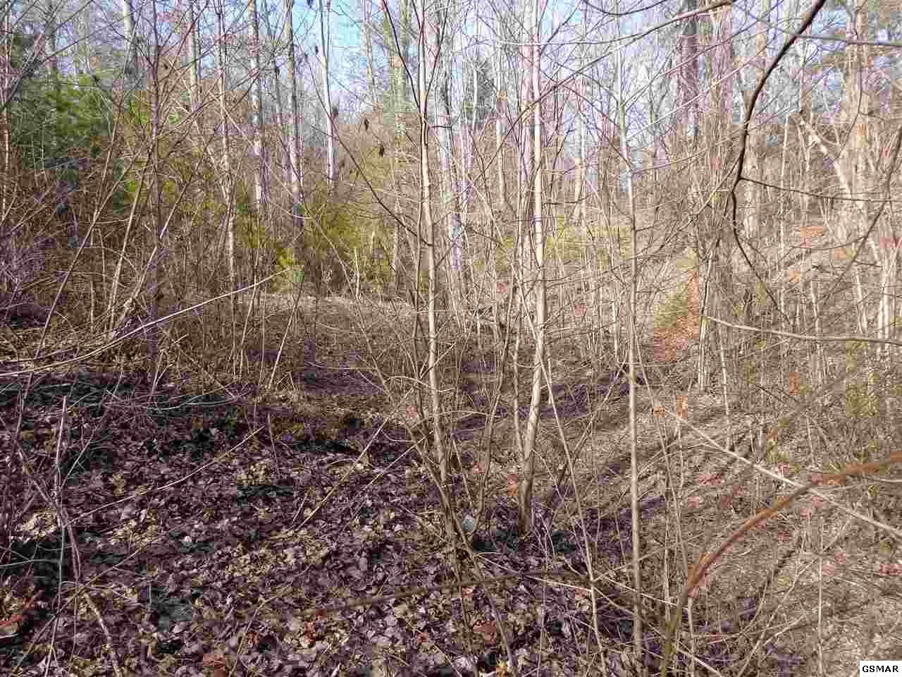 21 Deerfoot Road Cosby, TN 37722 - Photo 9 of 17 Gallery Image 9