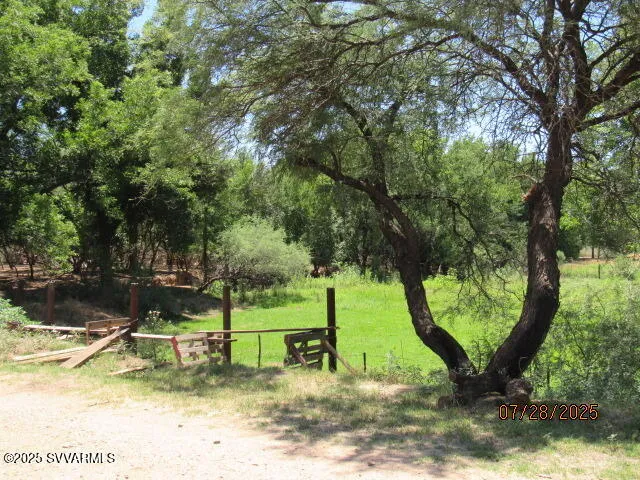 a view of a backyard with large trees