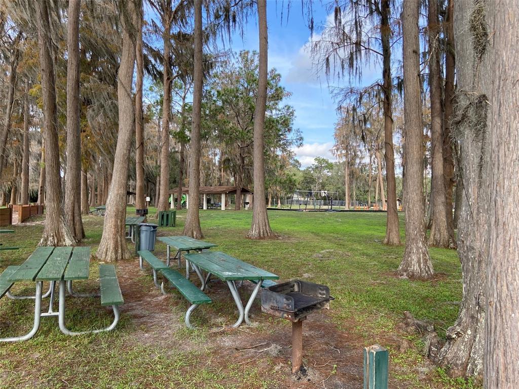 11876 Key Lime Drive New Port Richey, FL 34654 - Photo 13 of 44