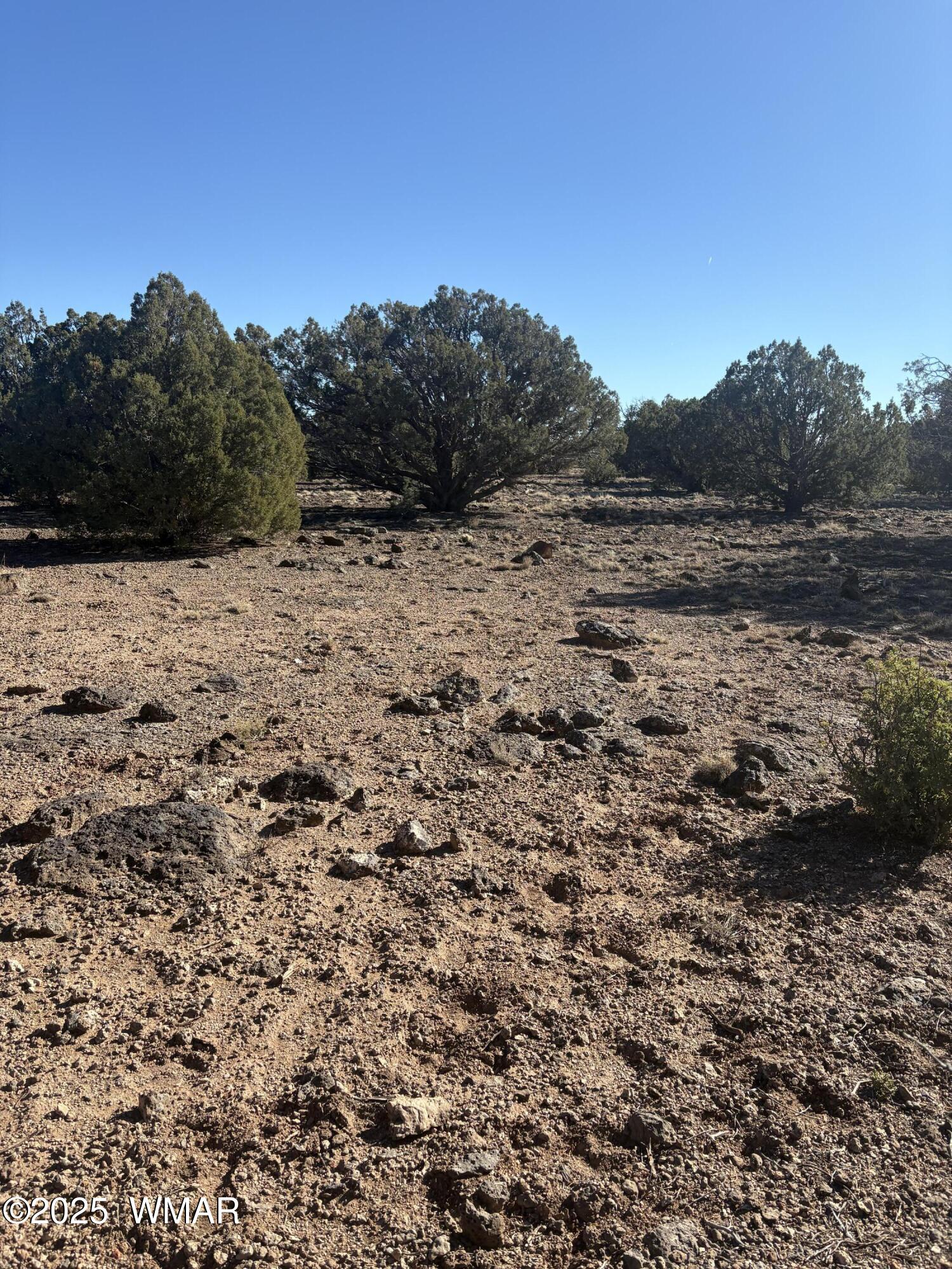 219 North 8716th Snowflake, AZ 85937 - Photo 22 of 29