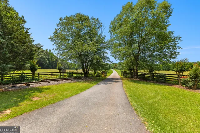 a view of a yard with large trees