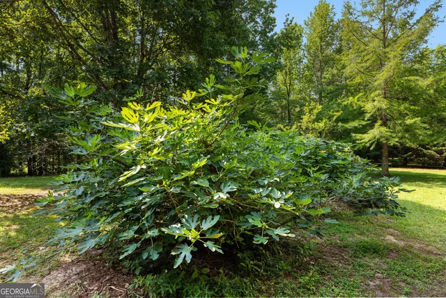 $695,000 | 6536 Luthersville Road, Unit 19, Gay, GA 30218