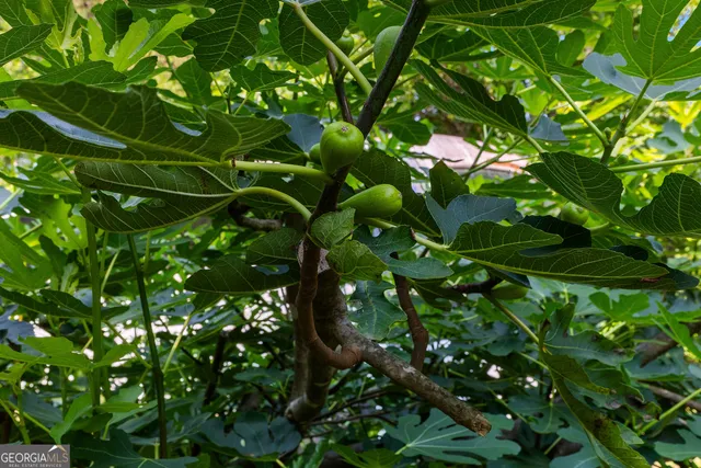 $695,000 | 6536 Luthersville Road, Unit 19, Gay, GA 30218