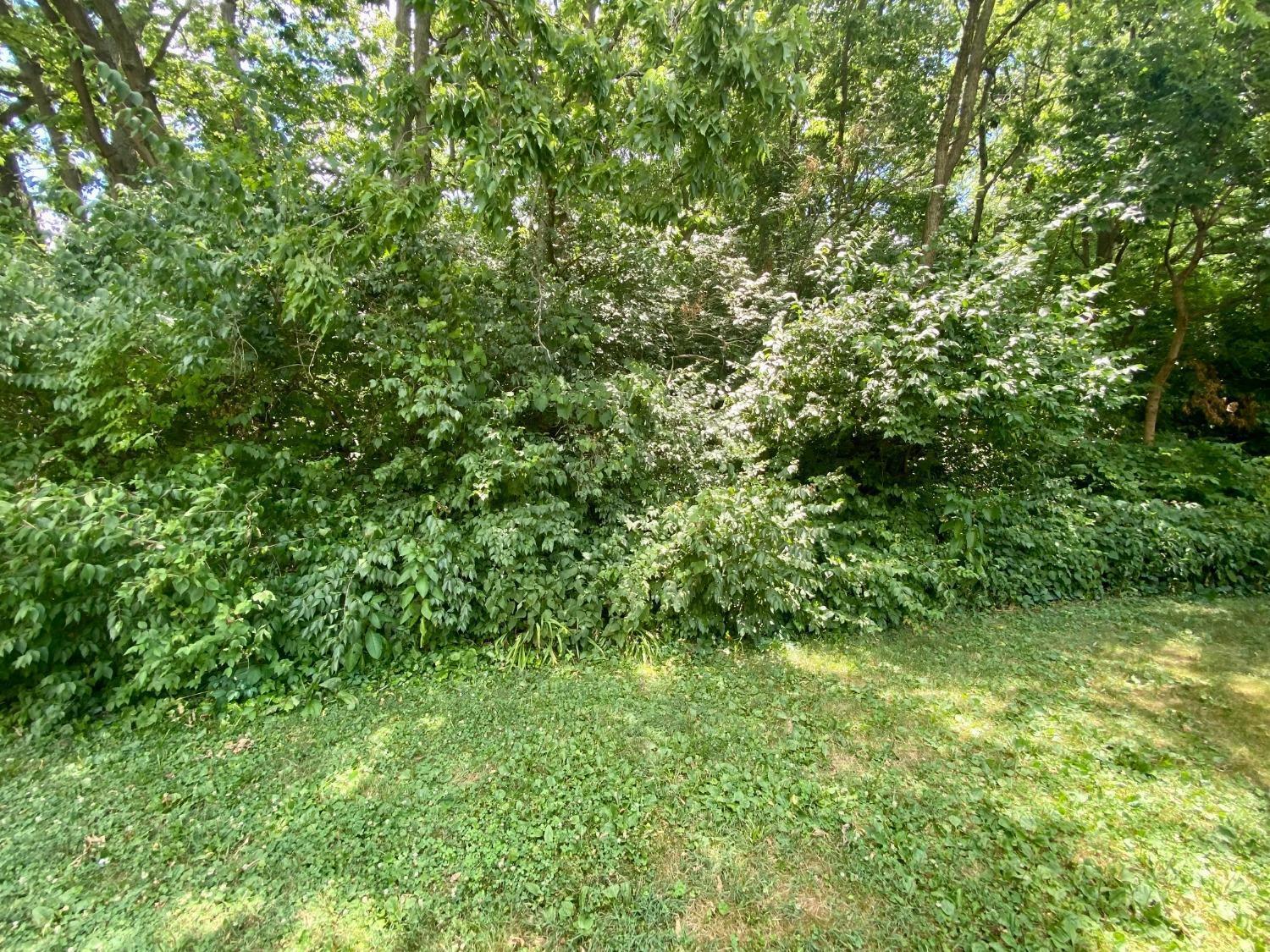 4085 Mefford Lane Cincinnati, OH 45241 - Photo 38 of 39
