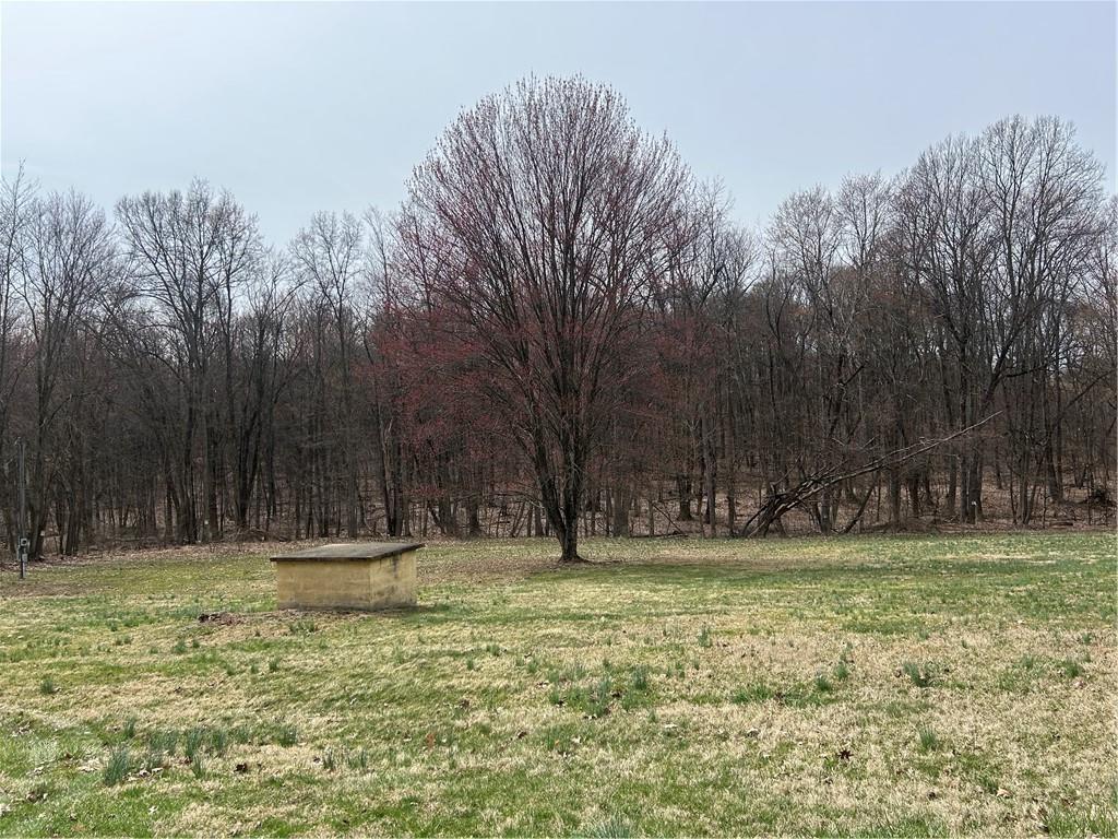 165 Manns Road Ruffs Dale, PA 15679 - Photo 1 of 5 a view of outdoor space with trees